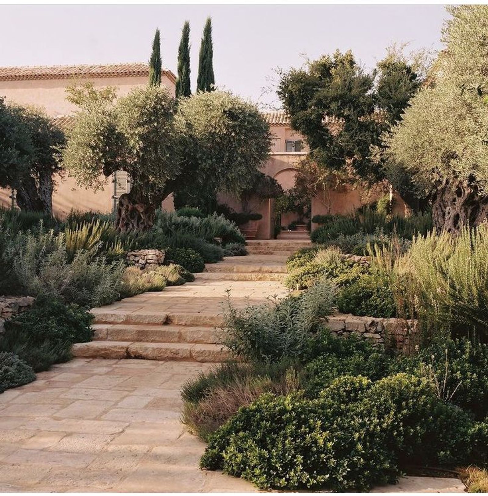 Mediterranean garden stone path