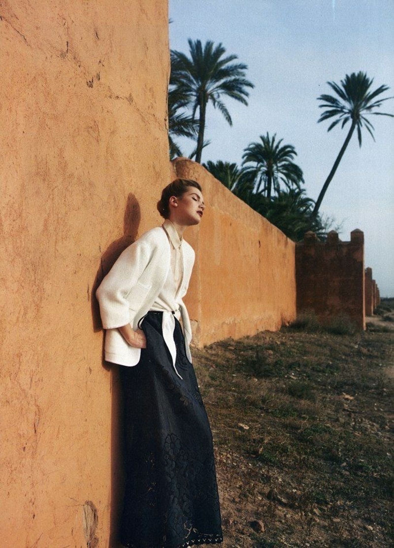 Editorial terracotta wall palm trees